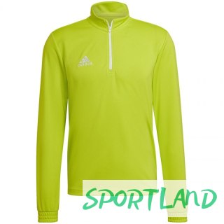 Bluza adidas Entrada 22 Training Top M HC5057 M