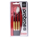 Rzutki Harrows Pro Brass Steeltip HS-TNK-000013160 Light. Rzutki Harrows Pro Brass Steeltip HS-TNK-000013160 Light.