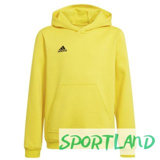 Bluza adidas Entrada 22 Hoody Y Jr HI2142 128 cm