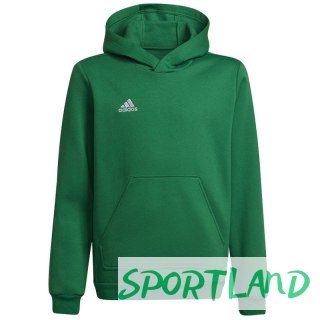 Bluza adidas Entrada 22 Hoody Y Jr HI2143 140 cm