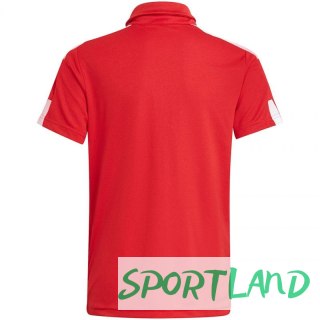 Koszulka adidas Squadra 21 Polo Jr GP6423 140 cm