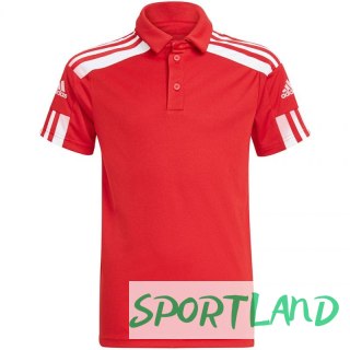 Koszulka adidas Squadra 21 Polo Jr GP6423 152cm
