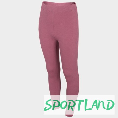 Legginsy 4F Jr HJL22-JLEG001 60S 164 cm