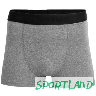 Bokserki 4F Men's Briefs M H4L22-BIM350-90M M