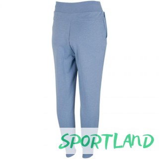 Spodnie 4F W H4L22 SPDD350 32S XL