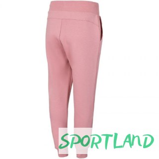Spodnie 4F W H4L22 SPDD350 56S 2 XL