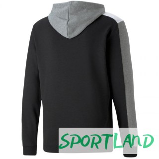 Bluza Puma ESS+ Block Hoodie TR M 847428 01 S