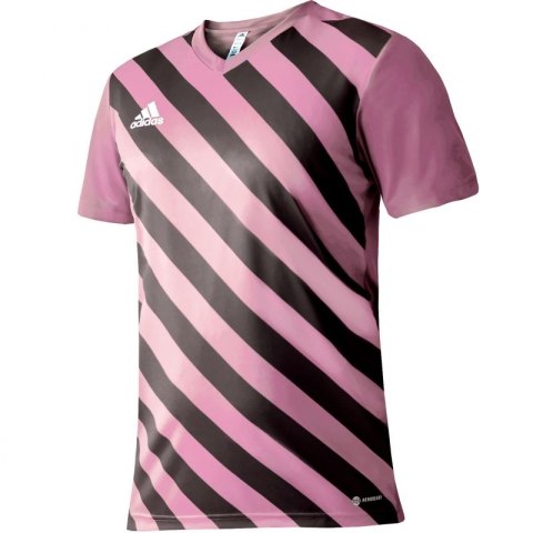 Koszulka adidas Entrada 22 Graphic Jersey Jr HC2632 164 cm