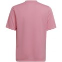 Koszulka adidas Entrada 22 Graphic Jersey Jr HC2632 164 cm