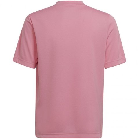 Koszulka adidas Entrada 22 Graphic Jersey Jr HC2632 164 cm Koszulka adidas Entrada 22 Graphic Jersey Jr HC2632 164 cm