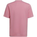 Koszulka adidas Entrada 22 Graphic Jersey Jr HC2632 164 cm