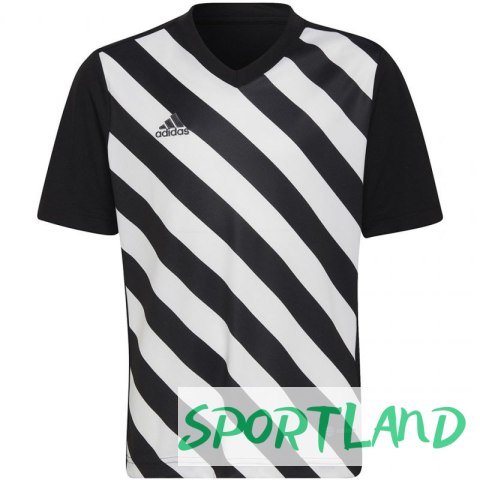 Koszulka adidas Entrada 22 Graphic Jersey Jr HF0123 116 cm Koszulka adidas Entrada 22 Graphic Jersey Jr HF0123 116 cm
