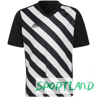 Koszulka adidas Entrada 22 Graphic Jersey Jr HF0123 128 cm