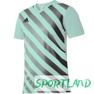 Koszulka adidas Entrada 22 Graphic Jersey Jr HF0127 116 cm