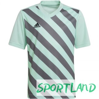 Koszulka adidas Entrada 22 Graphic Jersey Jr HF0127 116 cm