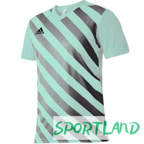 Koszulka adidas Entrada 22 Graphic Jersey Jr HF0127 164 cm Koszulka adidas Entrada 22 Graphic Jersey Jr HF0127 164 cm