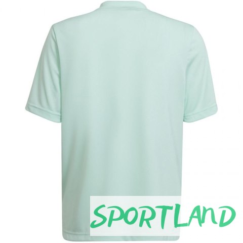 Koszulka adidas Entrada 22 Graphic Jersey Jr HF0127 164 cm Koszulka adidas Entrada 22 Graphic Jersey Jr HF0127 164 cm