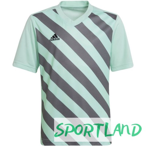 Koszulka adidas Entrada 22 Graphic Jersey Jr HF0127 164 cm Koszulka adidas Entrada 22 Graphic Jersey Jr HF0127 164 cm