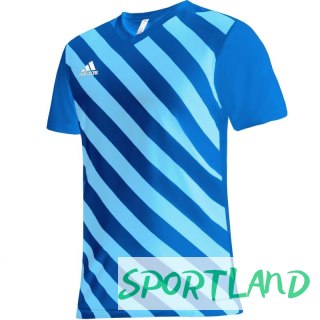 Koszulka adidas Entrada 22 Graphic Jersey Jr HF0130 116cm