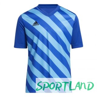 Koszulka adidas Entrada 22 Graphic Jersey Jr HF0130 116cm