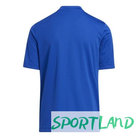 Koszulka adidas Entrada 22 Graphic Jersey Jr HF0130 116cm Koszulka adidas Entrada 22 Graphic Jersey Jr HF0130 116cm