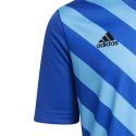 Koszulka adidas Entrada 22 Graphic Jersey Jr HF0130 116cm