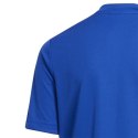 Koszulka adidas Entrada 22 Graphic Jersey Jr HF0130 116cm