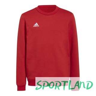 Bluza adidas Entrada 22 Sweat Jr H57473 164CM