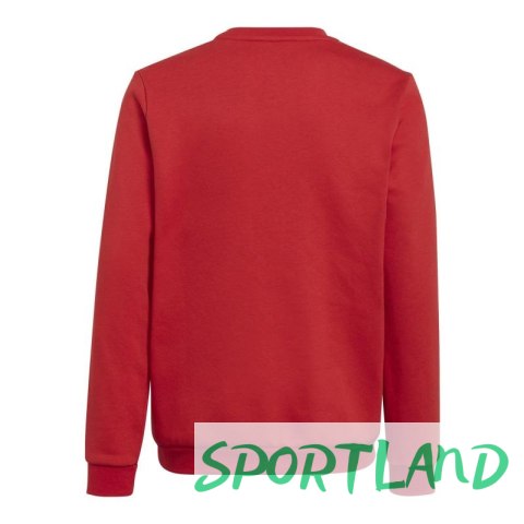 Bluza adidas Entrada 22 Sweat Jr H57473 164CM Bluza adidas Entrada 22 Sweat Jr H57473 164CM