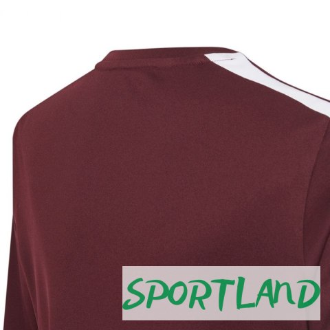 Koszulka adidas Squadra 21 Jersey Youth Jr GN8090 164cm Koszulka adidas Squadra 21 Jersey Youth Jr GN8090 164cm