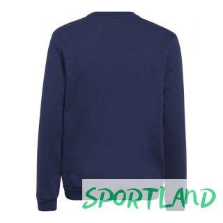 Bluza adidas Entrada 22 Hoody Jr H57568 140