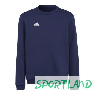 Bluza adidas Entrada 22 Hoody Jr H57568 164CM