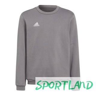 Bluza adidas Entrada 22 Sweat Top Jr H57477 164CM