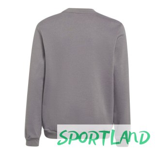 Bluza adidas Entrada 22 Sweat Top Jr H57477 164CM