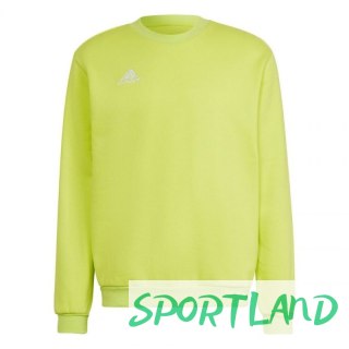 Bluza adidas Entrada 22 Sweat Top M HC5049 M
