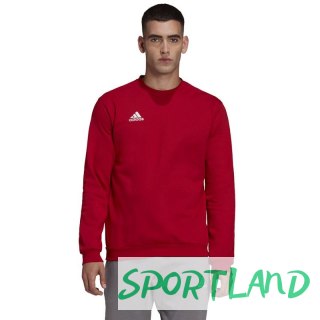 Bluza adidas Entrada 22 Sweatshirt M HB0577 M