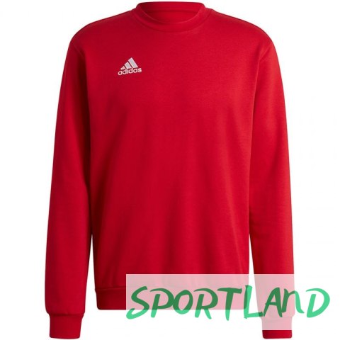 Bluza adidas Entrada 22 Sweatshirt M HB0577 S Bluza adidas Entrada 22 Sweatshirt M HB0577 S