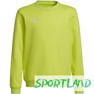 Bluza adidas Entrada 22 Sweat Top Jr HC5043 152cm