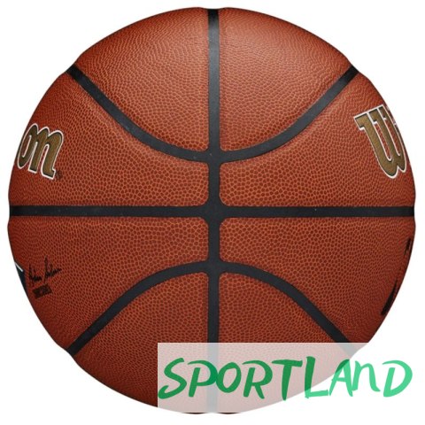Piłka Wilson Team Alliance New Orleans Pelicans Ball WTB3100XBBNO 7 Piłka Wilson Team Alliance New Orleans Pelicans Ball WTB3100XBBNO 7