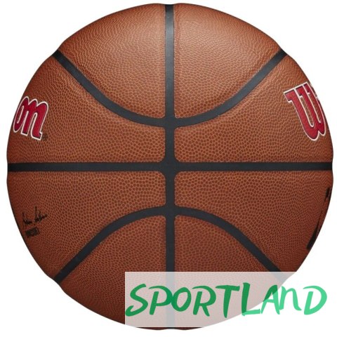 Piłka Wilson Team Alliance Toronto Raptors Ball WTB3100XBTOR 7 Piłka Wilson Team Alliance Toronto Raptors Ball WTB3100XBTOR 7
