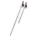 Kije nordic walking Hi-Tec Alpenstock 92800331268 N/A Kije nordic walking Hi-Tec Alpenstock 92800331268 N/A