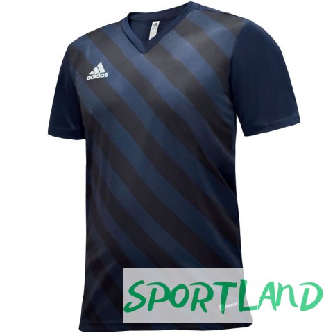 Koszulka adidas Entrada 22 Graphic Jersey Jr HF0122 116cm