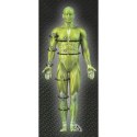 Opaska na kolano z otworem Select T26-16692 XL