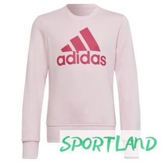 Bluza adidas Big Logo SWT Jr HM8709 140 cm