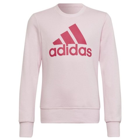 Bluza adidas Big Logo SWT Jr HM8709 152 cm Bluza adidas Big Logo SWT Jr HM8709 152 cm