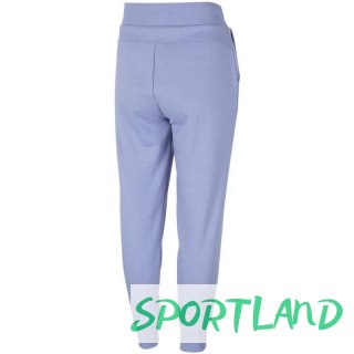 Spodnie 4F W H4Z22 SPDD351 32S S