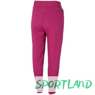 Spodnie 4F W H4Z22 SPDD351 53S 2XL