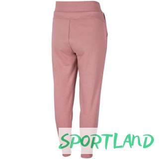 Spodnie 4F W H4Z22 SPDD351 56S 2XL