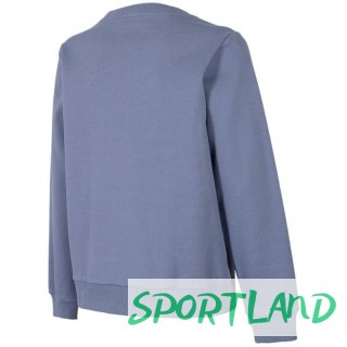 Bluza 4F W H4Z22 BLD020 25S L