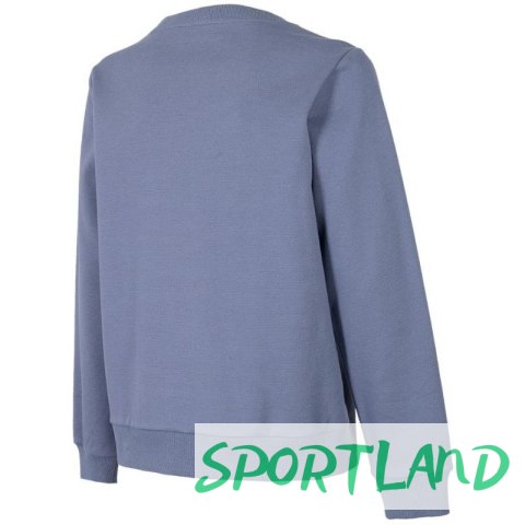 Bluza 4F W H4Z22 BLD020 25S L Bluza 4F W H4Z22 BLD020 25S L